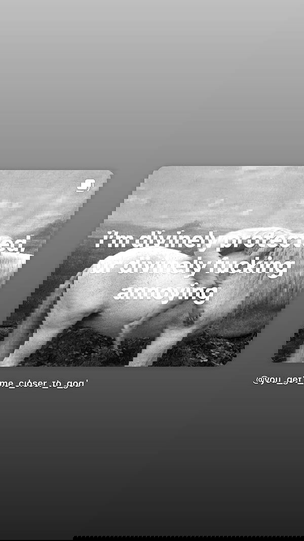 feelbetterinmysweater feelbetterinmysweater archive image