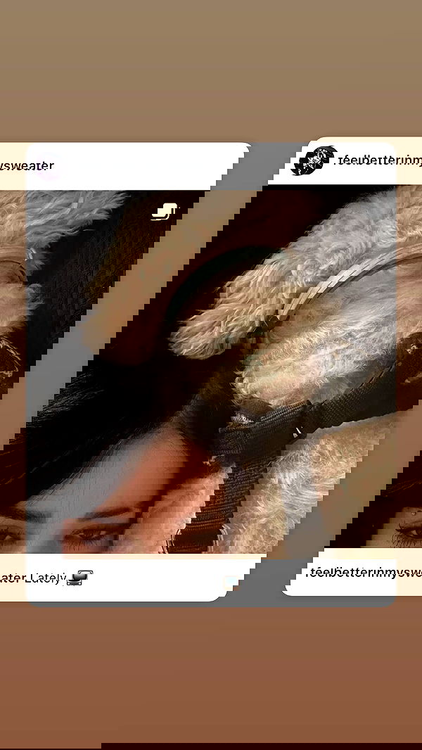 feelbetterinmysweater feelbetterinmysweater archive image