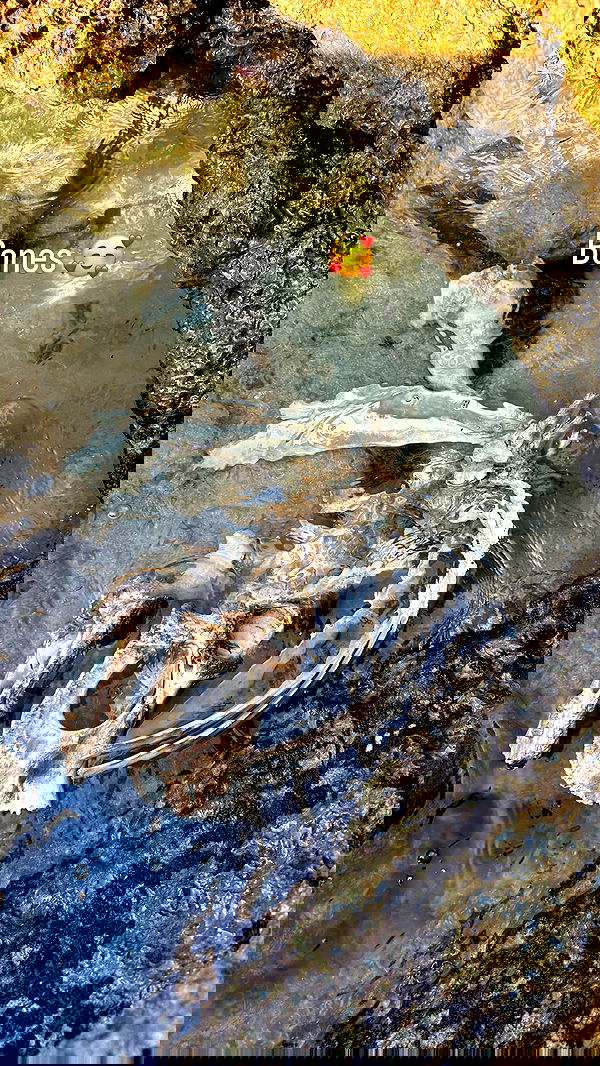 feelbetterinmysweater feelbetterinmysweater archive image