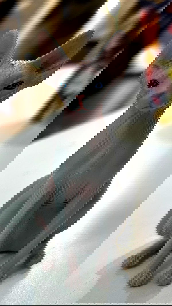 feelbetterinmysweater feelbetterinmysweater archive image