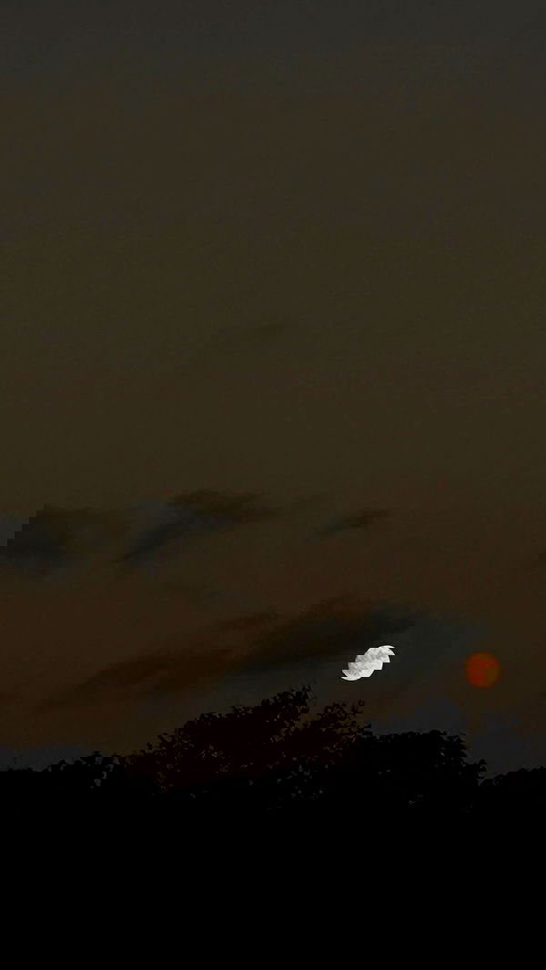 feelbetterinmysweater feelbetterinmysweater archive image