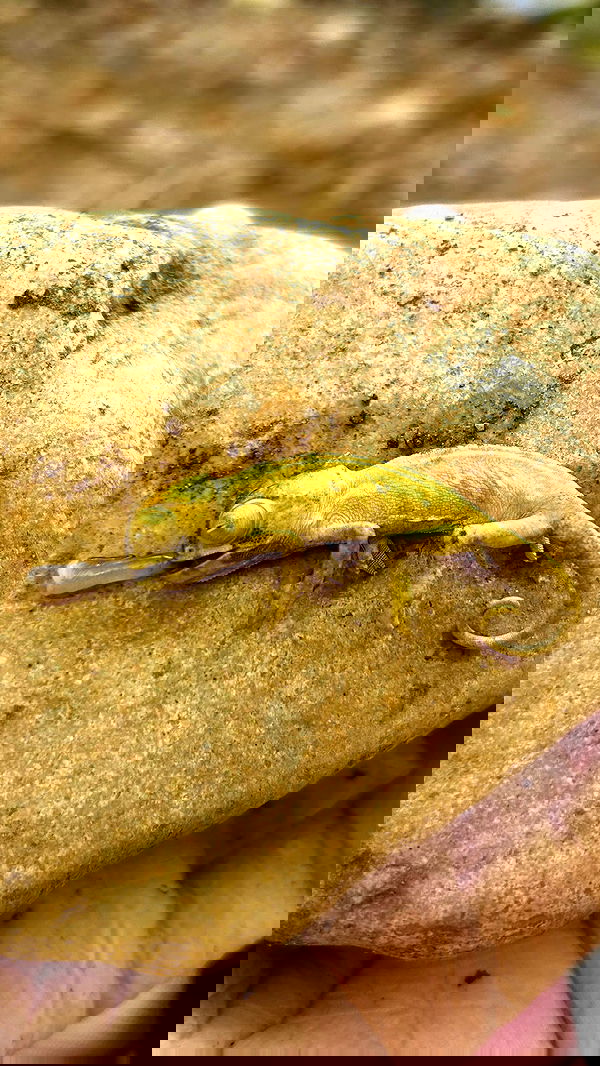 feelbetterinmysweater feelbetterinmysweater archive image