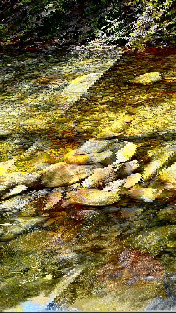 feelbetterinmysweater feelbetterinmysweater archive image