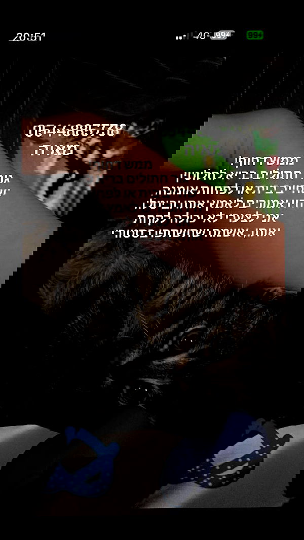 feelbetterinmysweater feelbetterinmysweater archive image