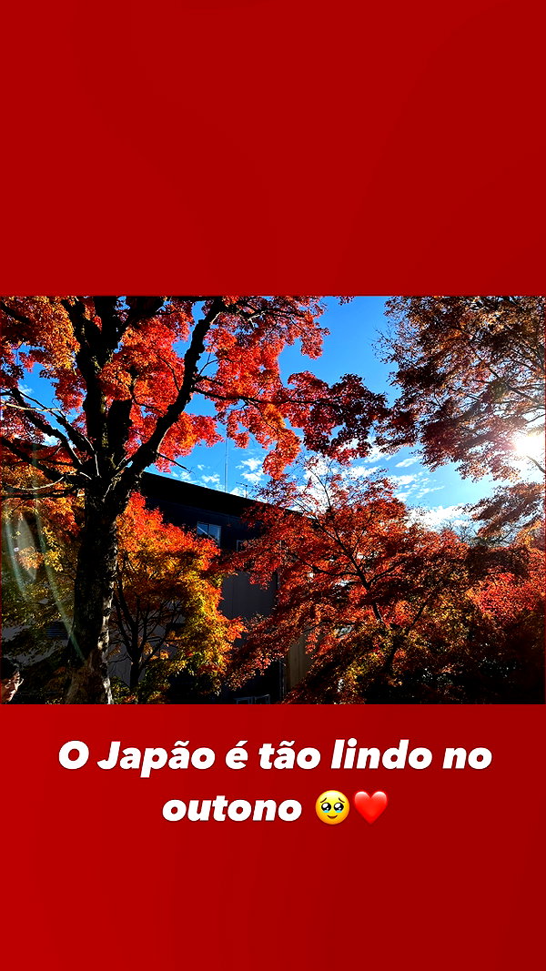 fegalvao_ fegalvao_ archive image