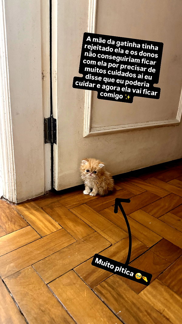 fegalvao_ fegalvao_ archive image