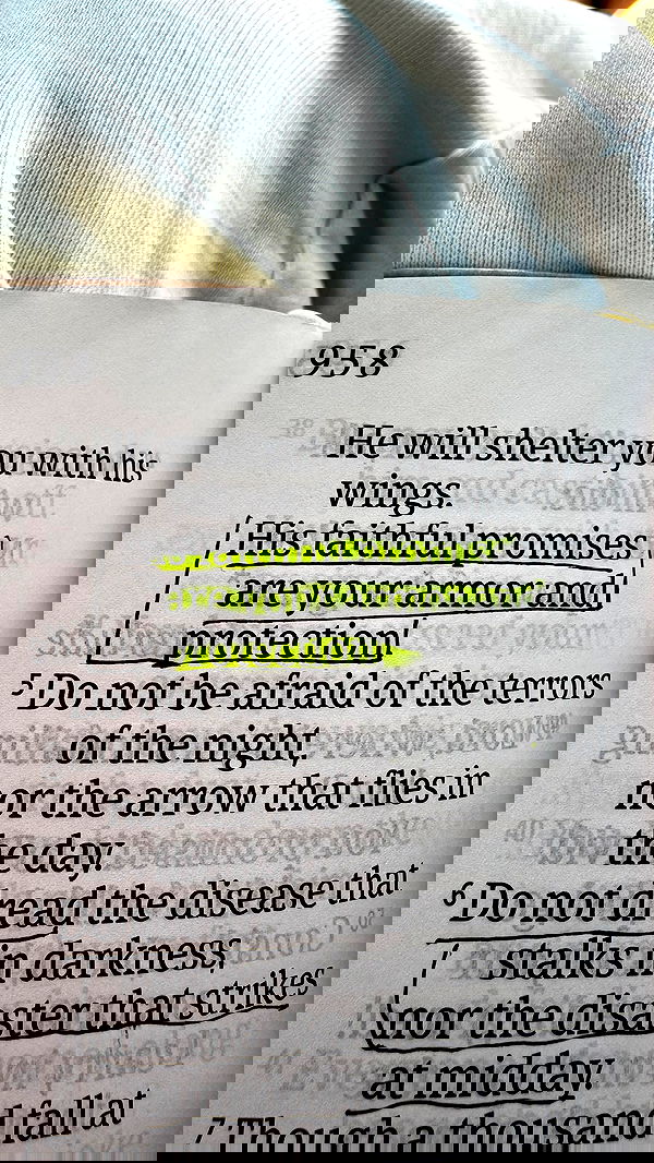 fitness_nala image ~ Altpins