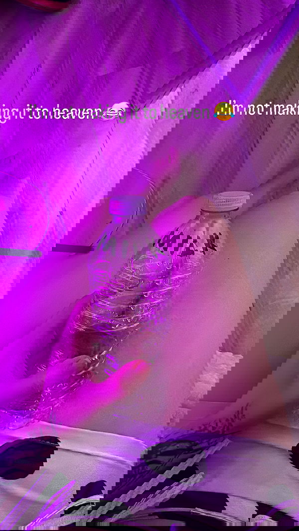 flarebahr flarebahr archive image