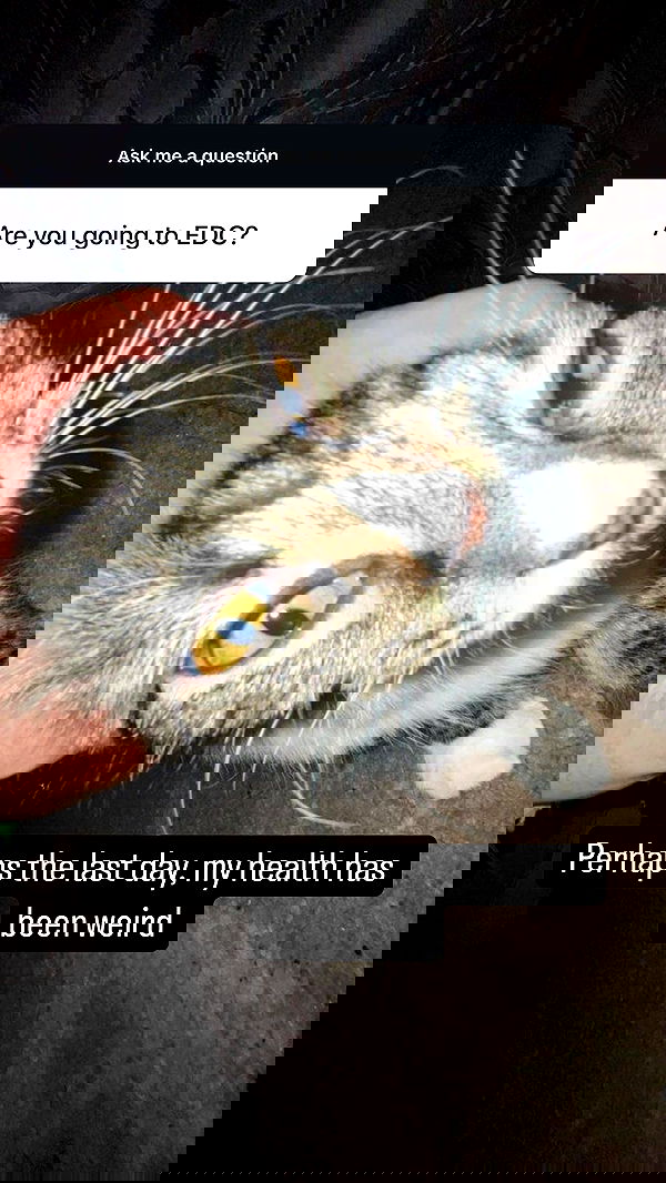 flarebahr flarebahr archive image