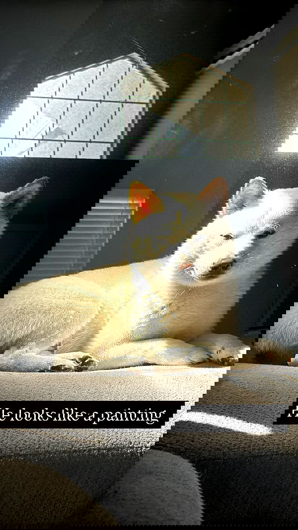 flarebahr flarebahr archive image