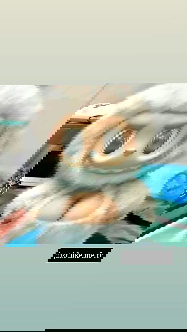 flarebahr flarebahr archive image