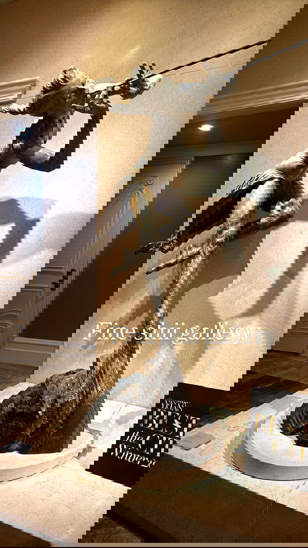 flarebahr flarebahr archive image