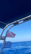 flo_holland53 Altpins Profile Picture
