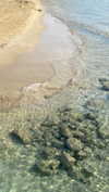 flo_holland53 Altpins Profile Picture