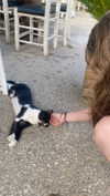 flo_holland53 Altpins Profile Picture