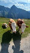 flo_holland53 Altpins Profile Picture