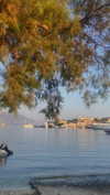 flo_holland53 Altpins Profile Picture