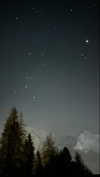 flo_holland53 Altpins Profile Picture