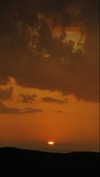 flo_holland53 Altpins Profile Picture