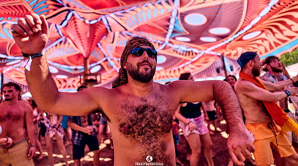 freeearthfestival freeearthfestival archive image