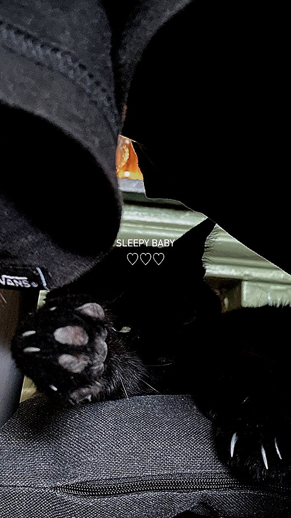 fuckinncutee fuckinncutee archive image