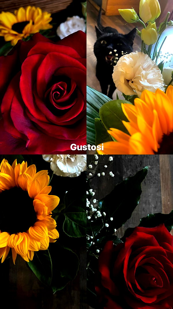 fuckinncutee fuckinncutee archive image