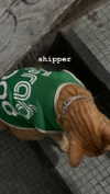 fuongvyne Altpins Profile Picture