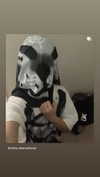 fyejax Altpins Profile Picture