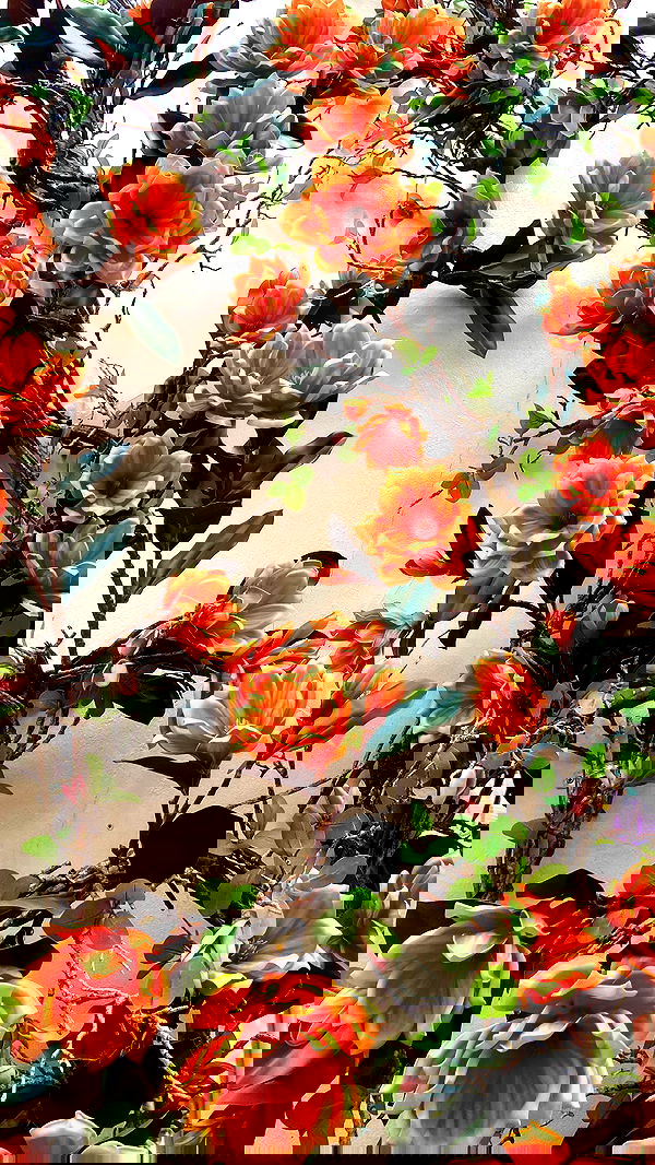 g.a.l.1.a g.a.l.1.a archive image