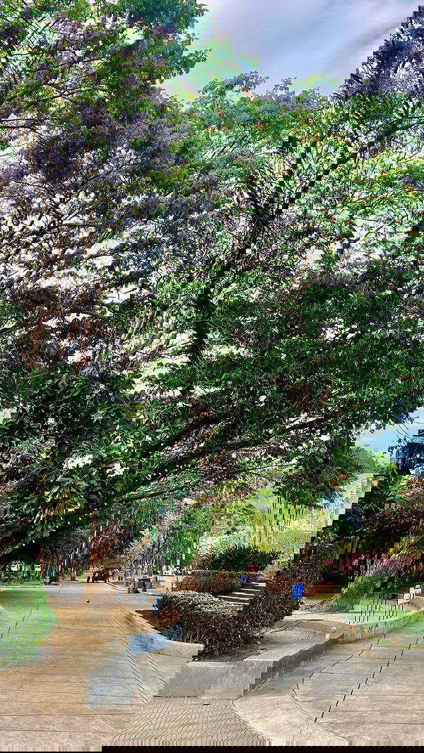 g.a.l.1.a g.a.l.1.a archive image