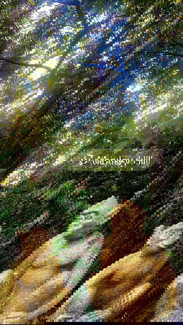 g.a.l.1.a g.a.l.1.a archive image