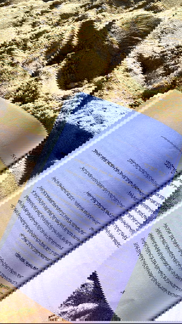 g.a.l.1.a g.a.l.1.a archive image