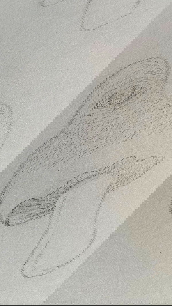 g.a.l.1.a g.a.l.1.a archive image