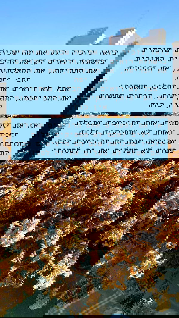 g.a.l.1.a g.a.l.1.a archive image