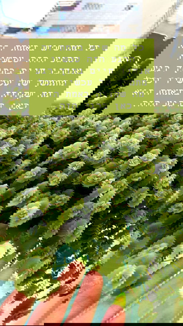 g.a.l.1.a g.a.l.1.a archive image