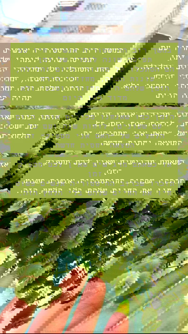 g.a.l.1.a g.a.l.1.a archive image