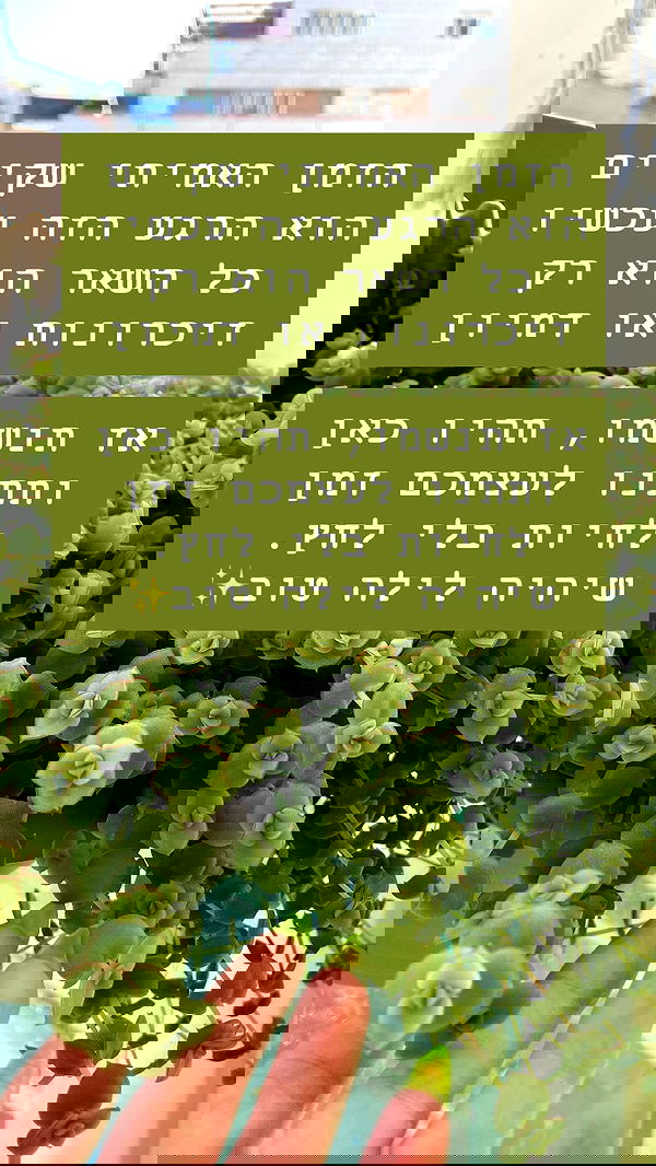 g.a.l.1.a g.a.l.1.a archive image