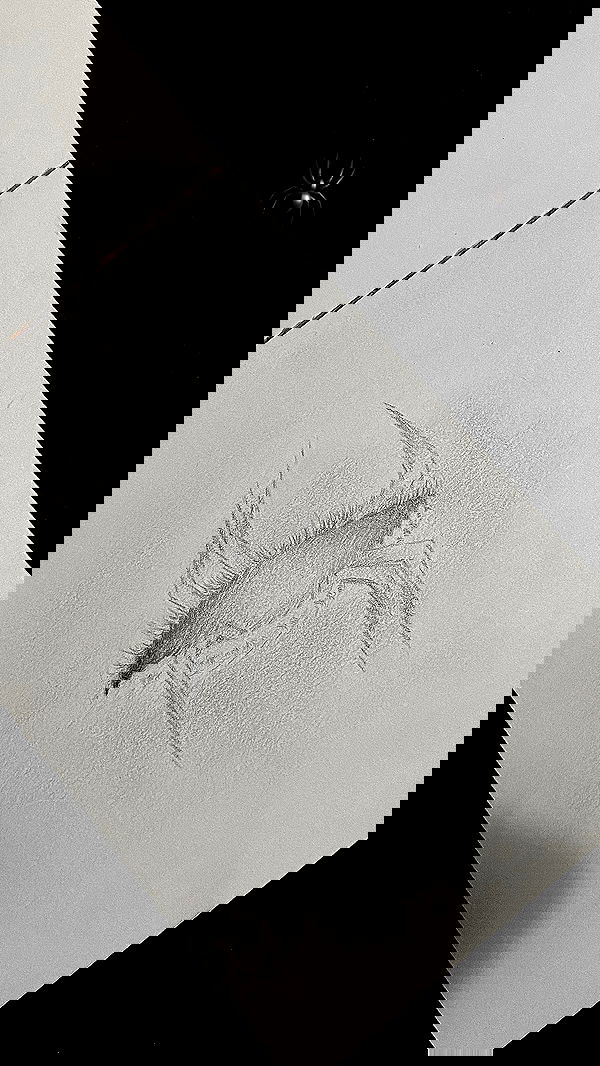 g.a.l.1.a g.a.l.1.a archive image