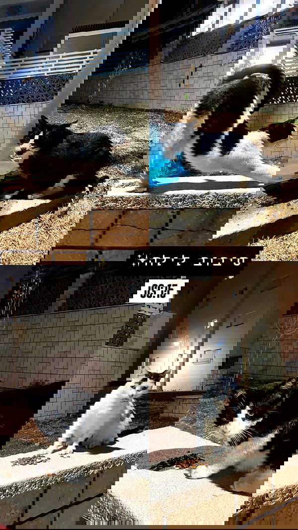 g.a.l.1.a g.a.l.1.a archive image