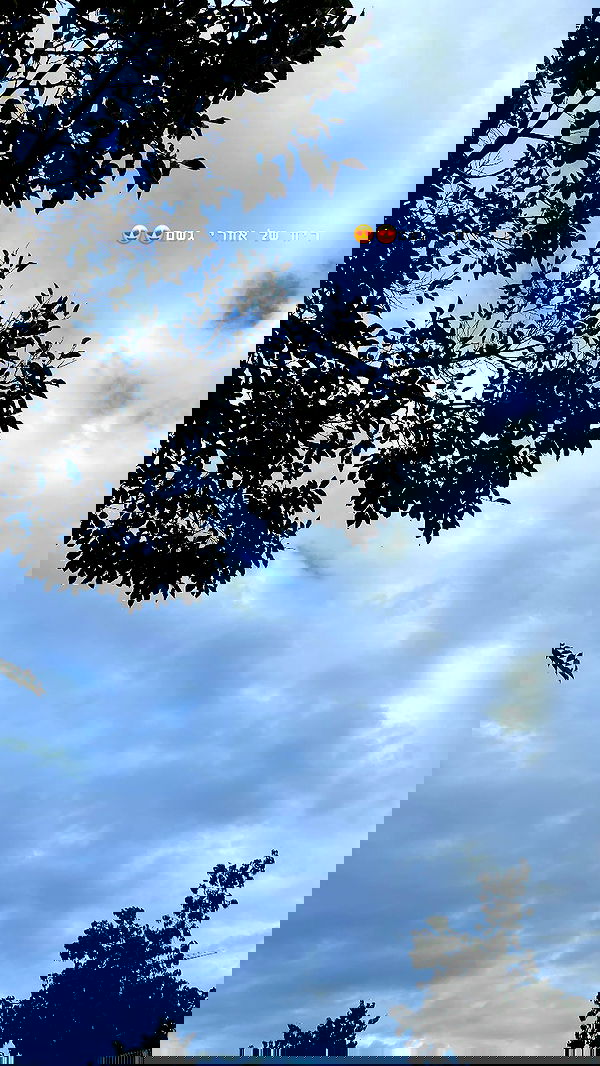 g.a.l.1.a g.a.l.1.a archive image