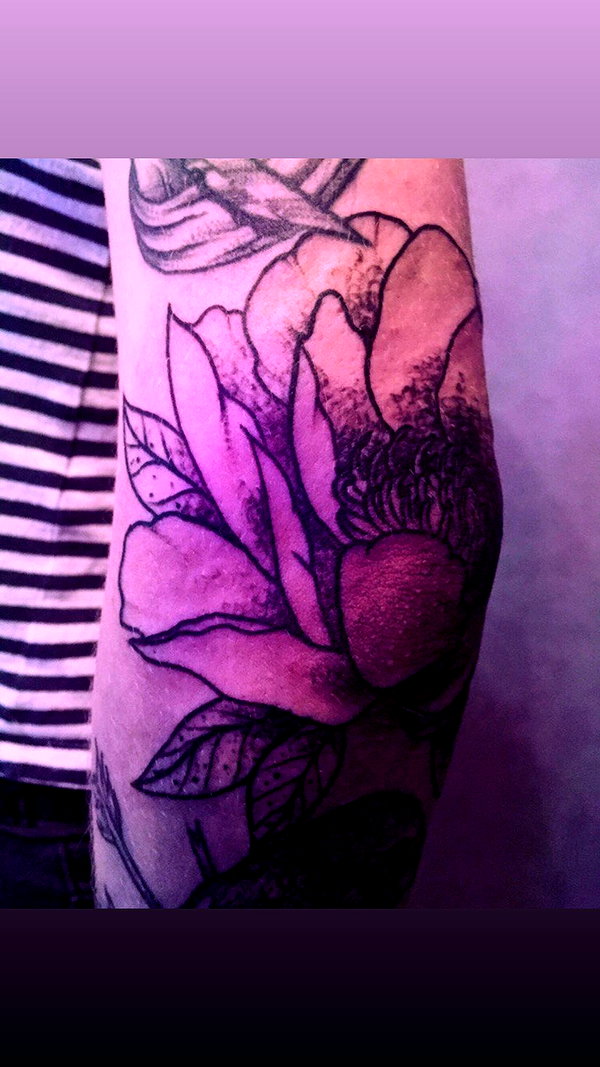 g.rshmn.dead instagram image archive image