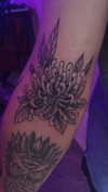 g.rshmn.dead Altpins Profile Picture