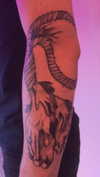 g.rshmn.dead Altpins Profile Picture