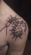 g.rshmn.dead Altpins Profile Picture