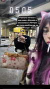 g.rshmn.dead Altpins Profile Picture