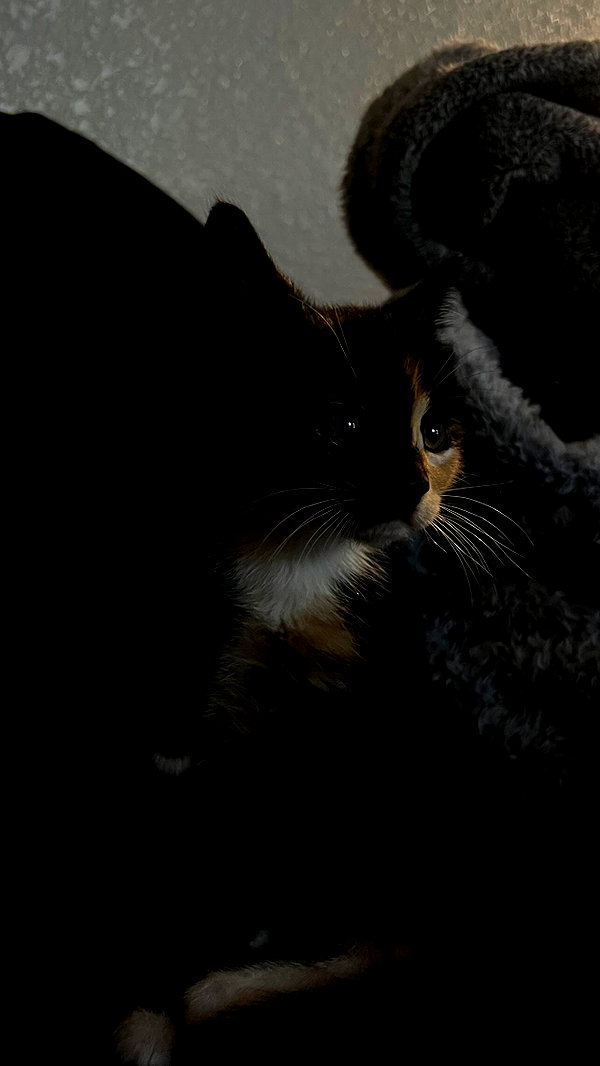 g4b6yy g4b6yy archive image