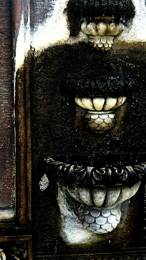 g4b6yy g4b6yy archive image