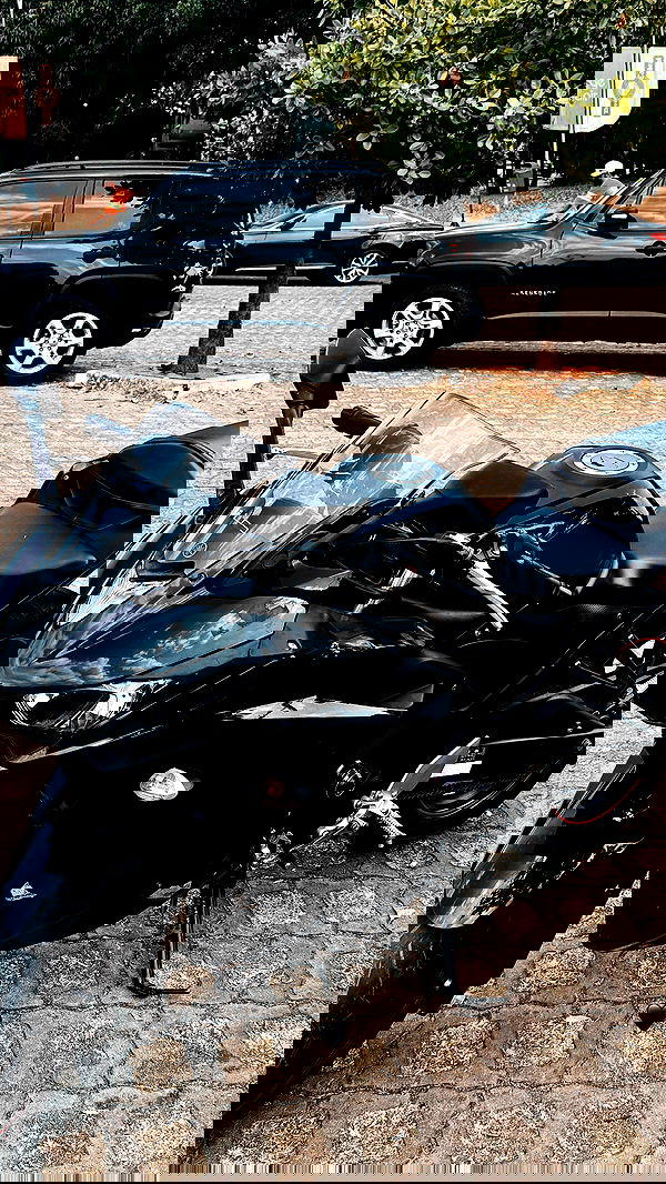 gabnoyr gabnoyr archive image