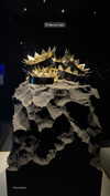 gali_azuolay Altpins Profile Picture