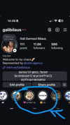 galibilaus Altpins Profile Picture